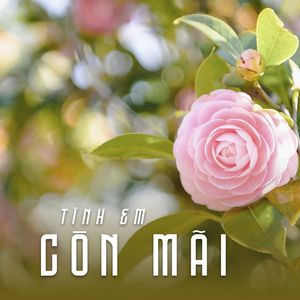 Tình Em Còn Mãi