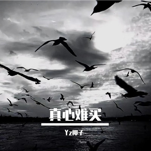 真心难买（prod by BLACKFAT洪汝超/Kenny泥泥）