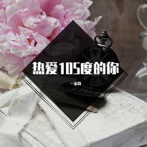 热爱105度的你