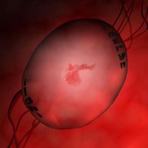 ilahi (feat. Nazryn) (Remix)