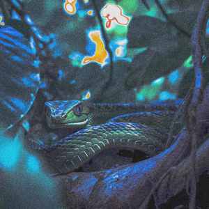 Destination Calabria