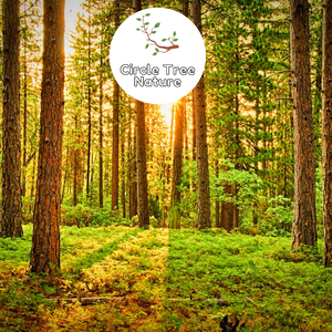 Harmonies of Serenitys