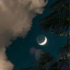 等你的日子不值一提