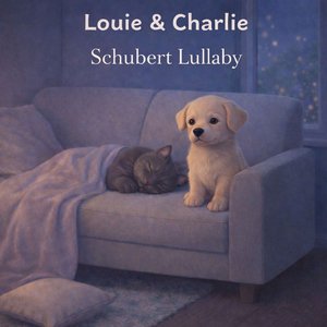 Schubert Lullaby (Lullaby Arrangement)