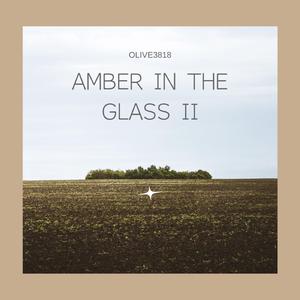 Amber in the Glass II
