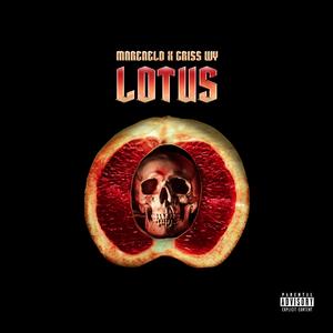 Lotus (feat. Criss WY)