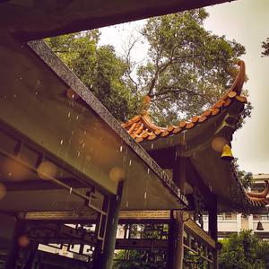 The Sunshine After The Rain