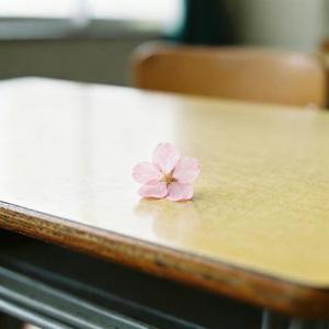 蝉鸣心事