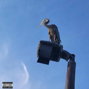 SAN FRANCISCO (feat. AGAR)