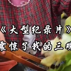 大型纪录片《震惊了我的三观》