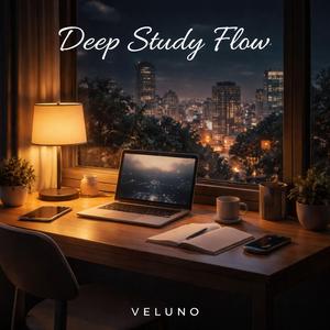 Deep Study Flow