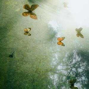 童话（我的天空星星都亮了）