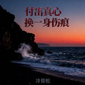 付出真心换一身伤痕