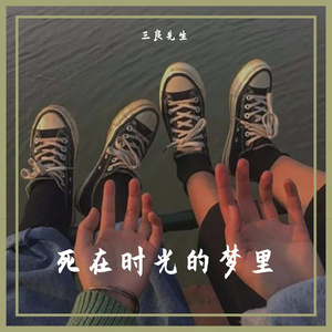 后来，就死在了时光的梦里