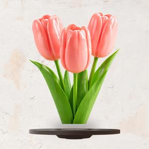 Slow Blossom