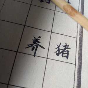 怜香伴（直录）