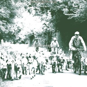 微妙的可爱的狗心情