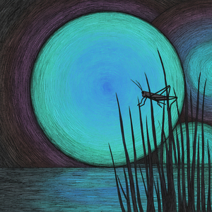 Serene Dawn: Raga Maru Bihag - Alap on Esraj