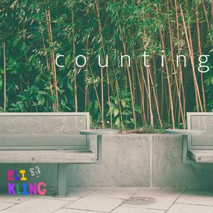 c o u n t i n g