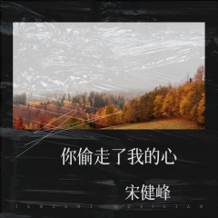 你偷走了我的心
