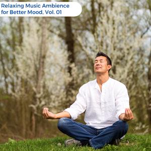 Bye Bye Stress (Relaxing Spa Sounds)