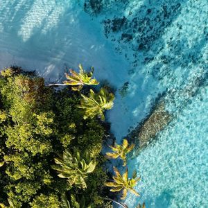 定格镜头里记忆