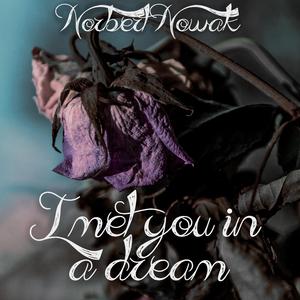 I met you in a dream