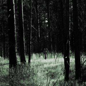 Lost (Without You)