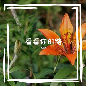 看看你的路