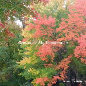 Sommer Sonne Und Kein Leid