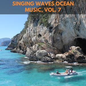 Oceanic Birds On Waves