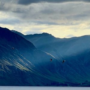 星辰下的心动邂逅