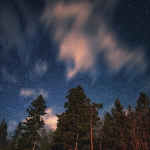 雨林晨曲 大自然助眠轻音乐
