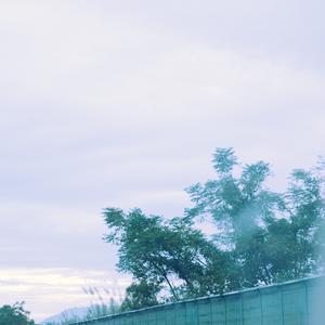 爱丽丝的奇幻梦境 (优美钢琴曲)