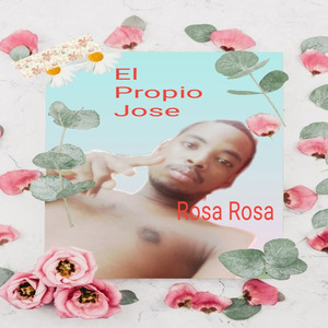 Rosa Rosa