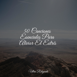 Afuera en El Crepúsculo