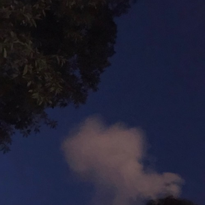 it's easy (prod. charlie toØ human)