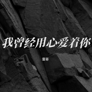 我曾经用心爱着你 (女生版)