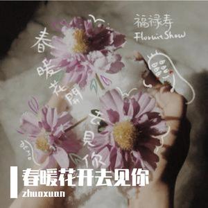 春暖花开去见你