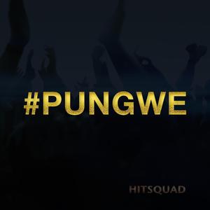 Pungwe (feat. King Hambahamba & Panashe)