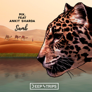 Samb (Elegant Ape Remix)