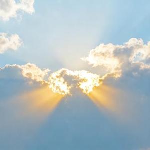 如果 (Cover 陈映存)