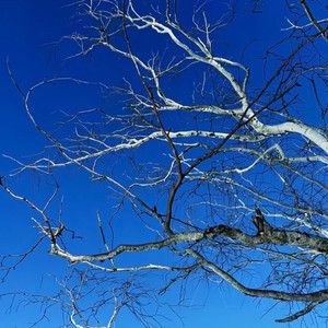 那些能打败我的 (Slap House)