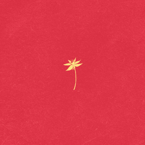 сайонара ледибой