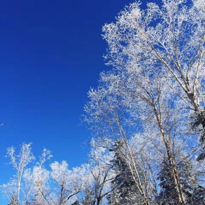 南下（翻自 徐海俏）