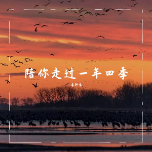 陪你走过一年四季(心羽版)