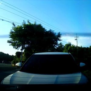 뒤에서 박았다(교통사고)