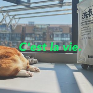 刻在我心底得名字 【cover】