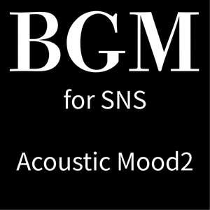 BGM Acoustic Mood2