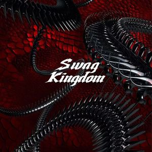 疯狂的大象部落